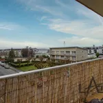 Rent 1 bedroom apartment in Le Chesnay Rocquencourt