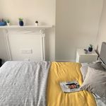 Rent 1 bedroom house in Southampton