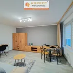 Rent 1 bedroom apartment of 28 m² in Zabrze