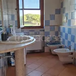 Rent 5 bedroom apartment of 110 m² in Tarquinia