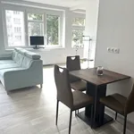 Rent 2 bedroom apartment of 52 m² in České Budějovice