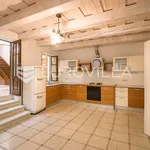 Rent 5 bedroom house of 350 m² in Zagreb