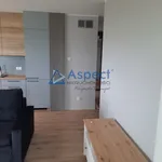 Rent 3 bedroom apartment of 60 m² in SZCZECIN