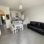 Rent 2 bedroom apartment of 55 m² in Dormelletto