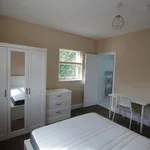 Rent 4 bedroom house in North East England