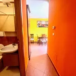 Rent 2 bedroom house of 62 m² in Rome