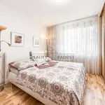 Rent 2 bedroom apartment of 56 m² in Praha