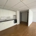 Huur 1 slaapkamer appartement van 53 m² in Heerlen