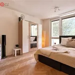 Rent 2 bedroom apartment of 31 m² in Brno-Bystrc