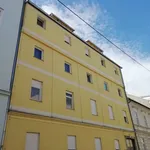 Rent 2 bedroom apartment of 85 m² in Graz