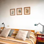 Rent 3 bedroom apartment of 74 m² in Milan