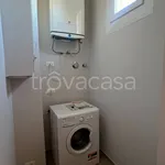 Rent 2 bedroom apartment of 55 m² in Torino