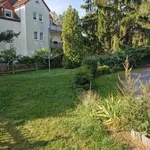 Rent 2 bedroom apartment of 34 m² in Dresden