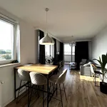 Rent 3 bedroom apartment of 60 m² in Rzeszów