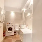 Rent 1 bedroom apartment in vilnius