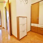 Rent 1 bedroom apartment of 41 m² in Brno-Židenice