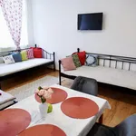 Rent 1 bedroom apartment of 55 m² in Teplice