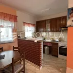 Rent 2 bedroom apartment of 70 m² in Žminj