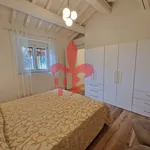 Rent 4 bedroom house of 100 m² in Firenze