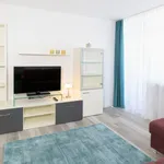 Rent 1 bedroom apartment in Munich