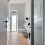 Rent 1 bedroom apartment in milan