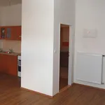 Rent 1 bedroom apartment of 58 m² in Šternberk