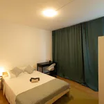 Rent 5 bedroom apartment in Lisbon