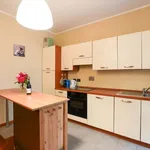 Rent 2 bedroom apartment of 55 m² in Turin