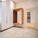 Rent 4 bedroom apartment in Praha