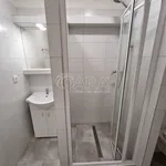 Rent 2 bedroom apartment of 38 m² in Nový Jičín