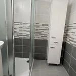 Rent 3 bedroom apartment of 68 m² in Dvůr Králové nad Labem