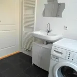 Huur 2 slaapkamer appartement van 55 m² in Delft