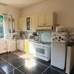 Rent 1 bedroom apartment of 40 m² in Genova