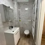 Rent 3 bedroom apartment of 58 m² in  Plzeň sever