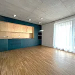 Rent 3 bedroom apartment of 96 m² in Capital City of Prague