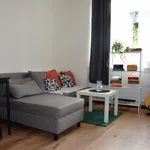 Rent 1 bedroom apartment in Prague