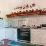 Rent 6 bedroom house of 700 m² in Florence