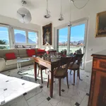 Rent 5 bedroom apartment of 78 m² in Paradiso