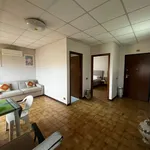 Rent 2 bedroom apartment of 77 m² in Roma