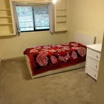 Rent 4 bedroom house in Vacaville