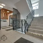 Rent 2 bedroom apartment of 47 m² in Katowice