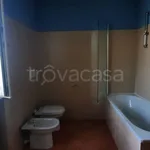 Rent 5 bedroom apartment of 116 m² in Carmagnola