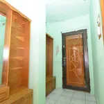 Rent 1 bedroom apartment of 28 m² in Timișoara