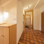 Rent 3 bedroom apartment of 113 m² in Ostrava