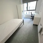 Rent 4 bedroom apartment in Sheffield