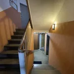 Rent 3 bedroom apartment of 65 m² in Krnov