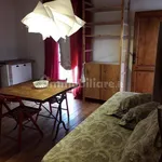 Rent 1 bedroom apartment of 28 m² in Pontedera