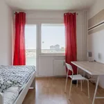 Rent a room of 102 m² in berlin