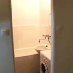 Rent 1 bedroom apartment in Prague