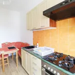 Rent a room of 57 m² in Brno